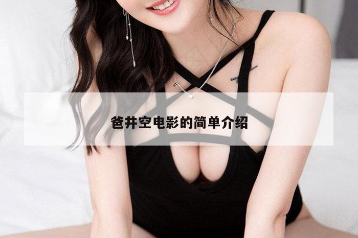 爸井空电影的简单介绍